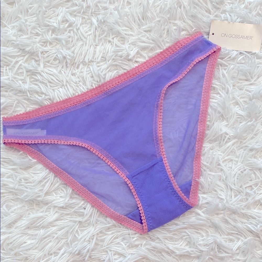 Nwt On Gossamer Lavender and Rose Sheer Briefs